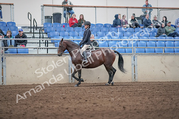 2019 Morgan Horse Show - Aug 31, 2019 - 19531