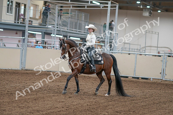 2020 - AB Morgan Horse - Fri, Sept 04 - 08235