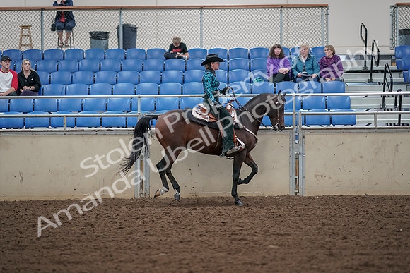 2019 Morgan Horse Show - Aug 30, 2019 - 26192