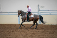 2020 - AB Morgan Horse - Sat, Sept 05 - 05657