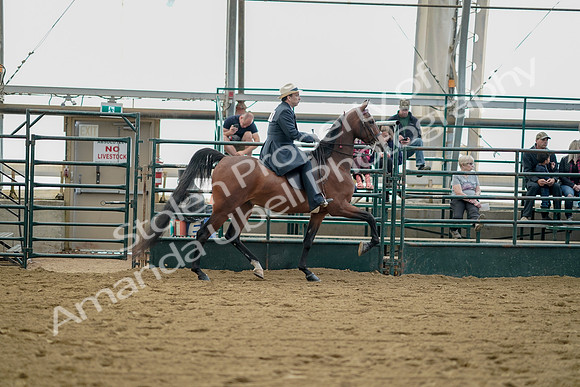 July 21, 2019 - 01871