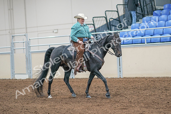 2020 - AB Morgan Horse - Sun, Sept 06 - 01625