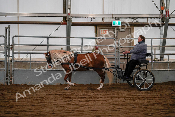 July 19, 2019 - 7078