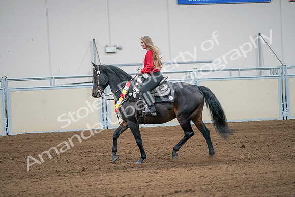 2020 - AB Morgan Horse - Sat, Sept 05 - 10410