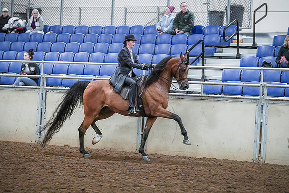 Spring Fling - Saturday - April 20, 2019  -  00814