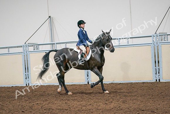 2020 - AB Morgan Horse - Sun, Sept 06 - 08029