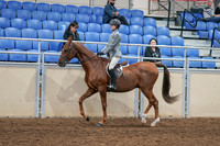 2020 - AB Morgan Horse - Sat, Sept 05 - 02609