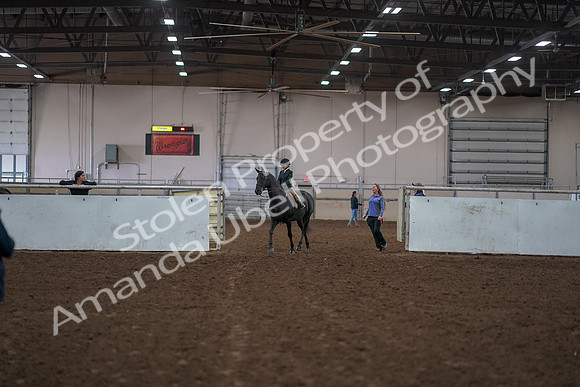 2019 Morgan Horse Show - Aug 30, 2019 - 12671