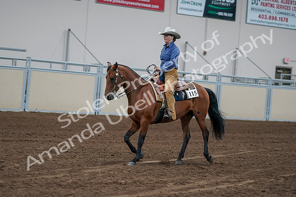 2020 - AB Morgan Horse - Fri, Sept 04 - 00148