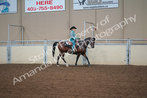 2019 Morgan Horse Show - Aug 30, 2019 - 17042