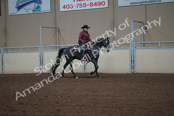 2019 Morgan Horse Show - Aug 31, 2019 - 10709