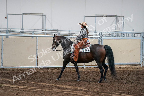 2020 - AB Morgan Horse - Fri, Sept 04 - 00452