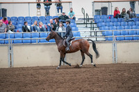 2019 Morgan Horse Show - Aug 31, 2019 - 21367