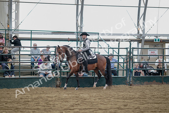 July 21, 2019 - 06561