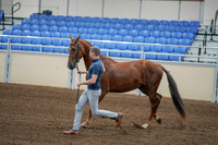 2020 - AB Morgan Horse - Sat, Sept 05 - 00257