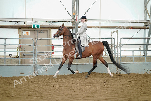 July 20, 2019 - 07635