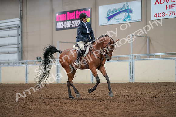 2019 Morgan Horse Show - Aug 30, 2019 - 22537