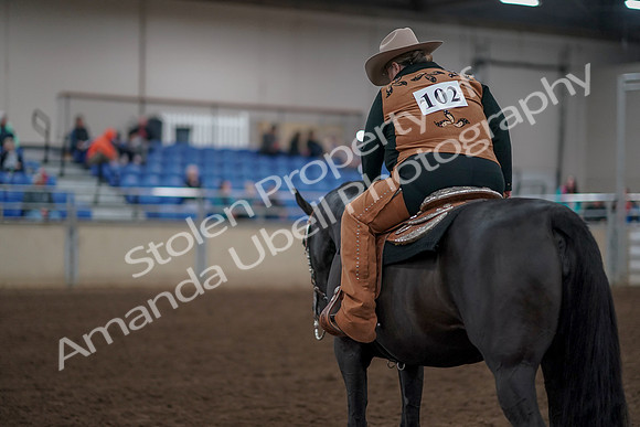 2019 Morgan Horse Show - Aug 31, 2019 - 06244