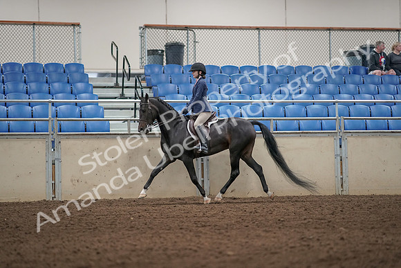2019 Morgan Horse Show - Aug 31, 2019 - 04954