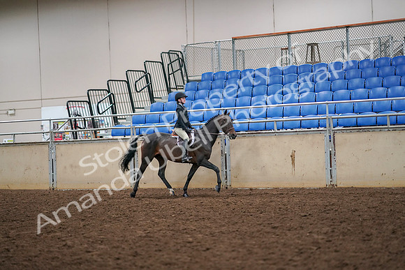 2019 Morgan Horse Show - Aug 30, 2019 - 12408