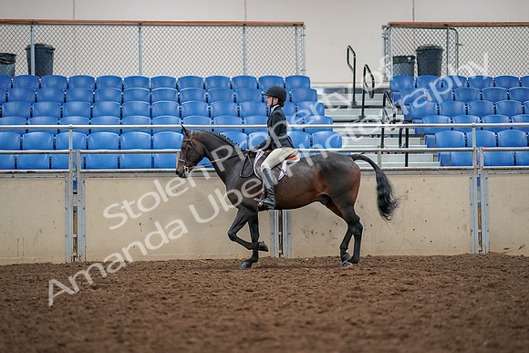 2019 Morgan Horse Show - Aug 30, 2019 - 23136