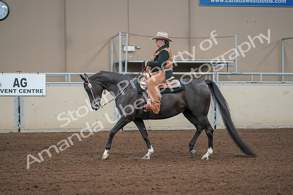 2019 Morgan Horse Show - Aug 31, 2019 - 06062