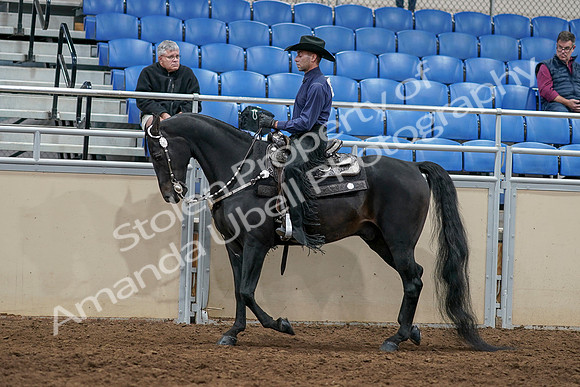 2020 - AB Morgan Horse - Sun, Sept 06 - 07520