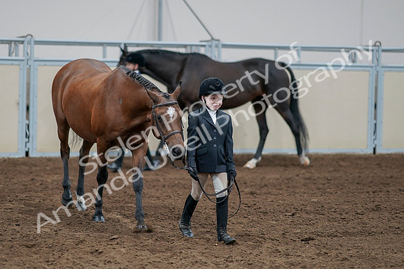 2020 - AB Morgan Horse - Fri, Sept 04 - 00826