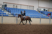 2019 Morgan Horse Show - Aug 30, 2019 - 12667