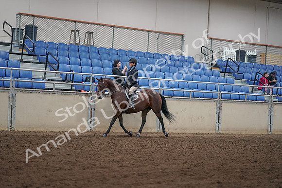2019 Morgan Horse Show - Aug 30, 2019 - 12667