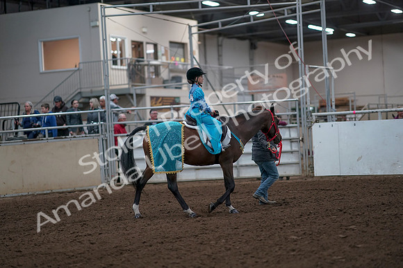 2019 Morgan Horse Show - Aug 31, 2019 - 10035