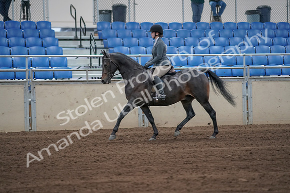 2019 Morgan Horse Show - Sept 01, 2019 - 10899_1