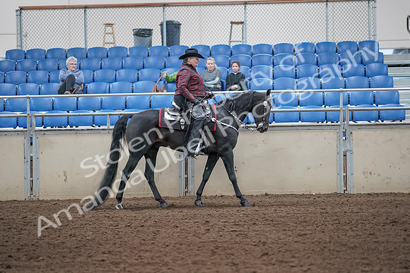 2019 Morgan Horse Show - Aug 31, 2019 - 10766