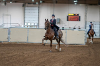 2020 - AB Morgan Horse - Sat, Sept 05 - 06028