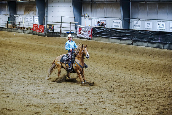 DSC08377