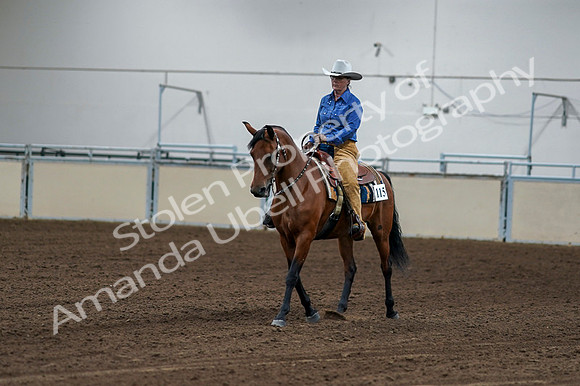 2020 - AB Morgan Horse - Fri, Sept 04 - 00133
