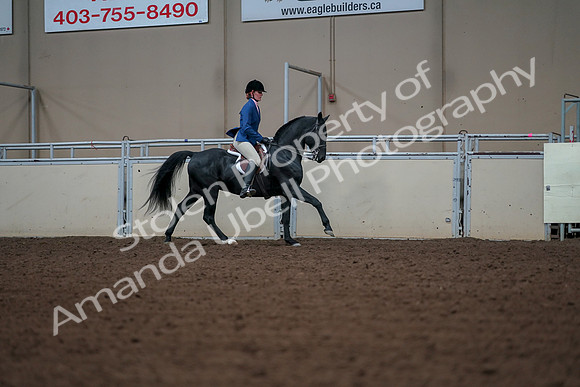 2019 Morgan Horse Show - Aug 30, 2019 - 18606