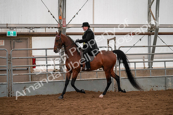 July 19, 2019 - 10279