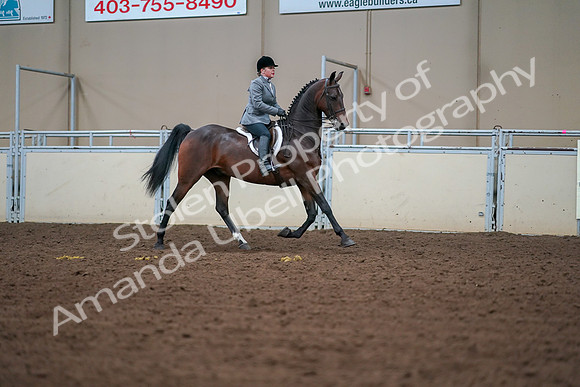 2019 Morgan Horse Show - Aug 30, 2019 - 20827
