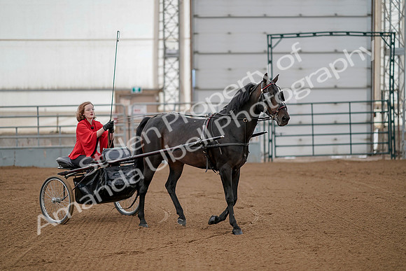 July 20, 2019 - 00174