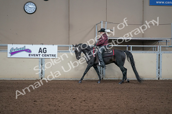 2019 Morgan Horse Show - Aug 31, 2019 - 10619