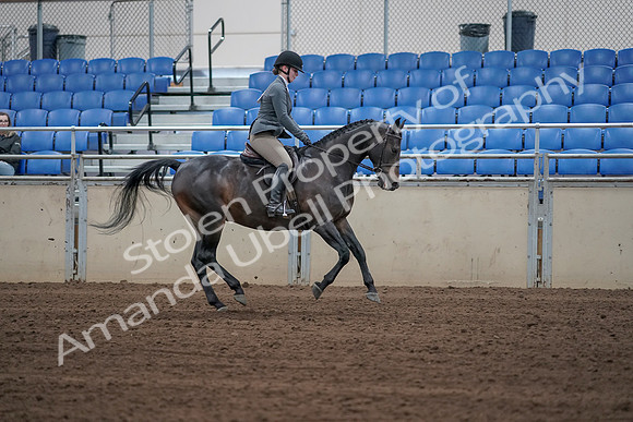 2019 Morgan Horse Show - Sept 01, 2019 - 11095