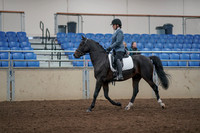 2019 Morgan Horse Show - Aug 31, 2019 - 07162