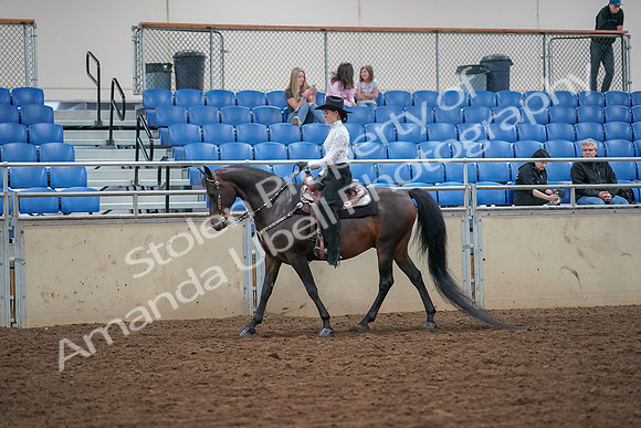 2019 Morgan Horse Show - Aug 30, 2019 - 16770