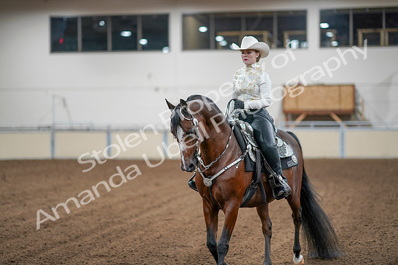 2020 - AB Morgan Horse - Sun, Sept 06 - 07615