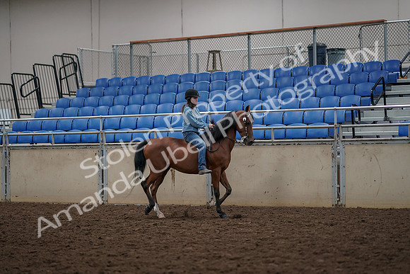 2019 Morgan Horse Show - Aug 30, 2019 - 31331