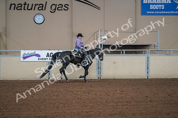 2019 Morgan Horse Show - Aug 30, 2019 - 16993