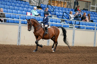 2020 - AB Morgan Horse - Fri, Sept 04 - 04472