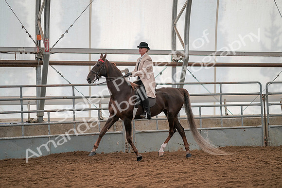 July 19, 2019 - 12828