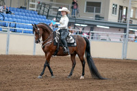 2020 - AB Morgan Horse - Fri, Sept 04 - 08248